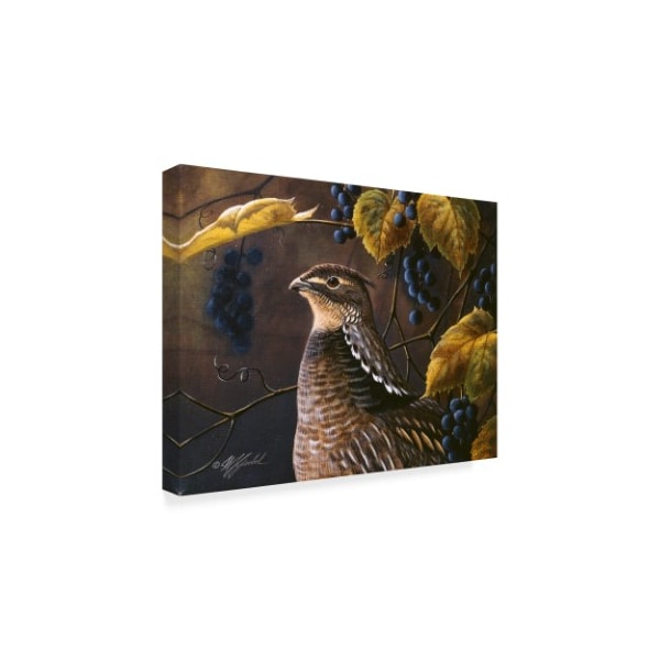 Wilhelm Goebel 'Grouse And Grapes' Canvas Art,35x47